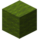 Verde Oscuro