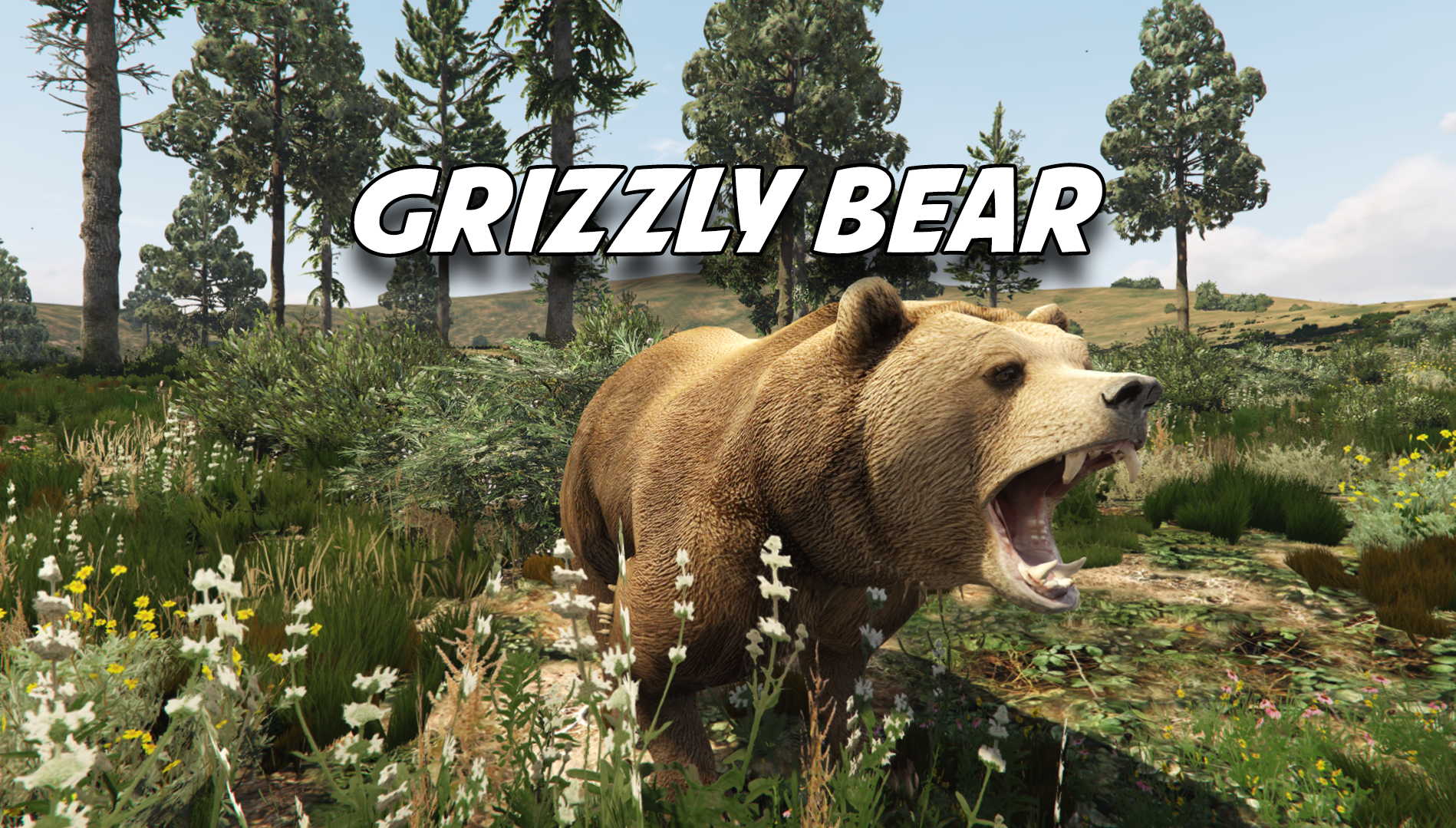 Grizzly Bear