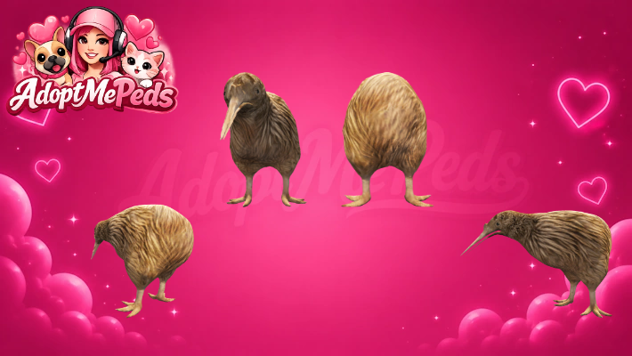 Kiwi