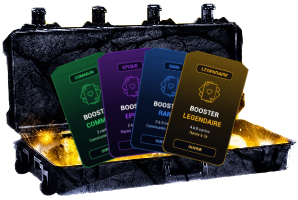 2x Caisses Booster *6