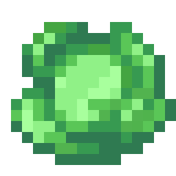Cabbage Seed