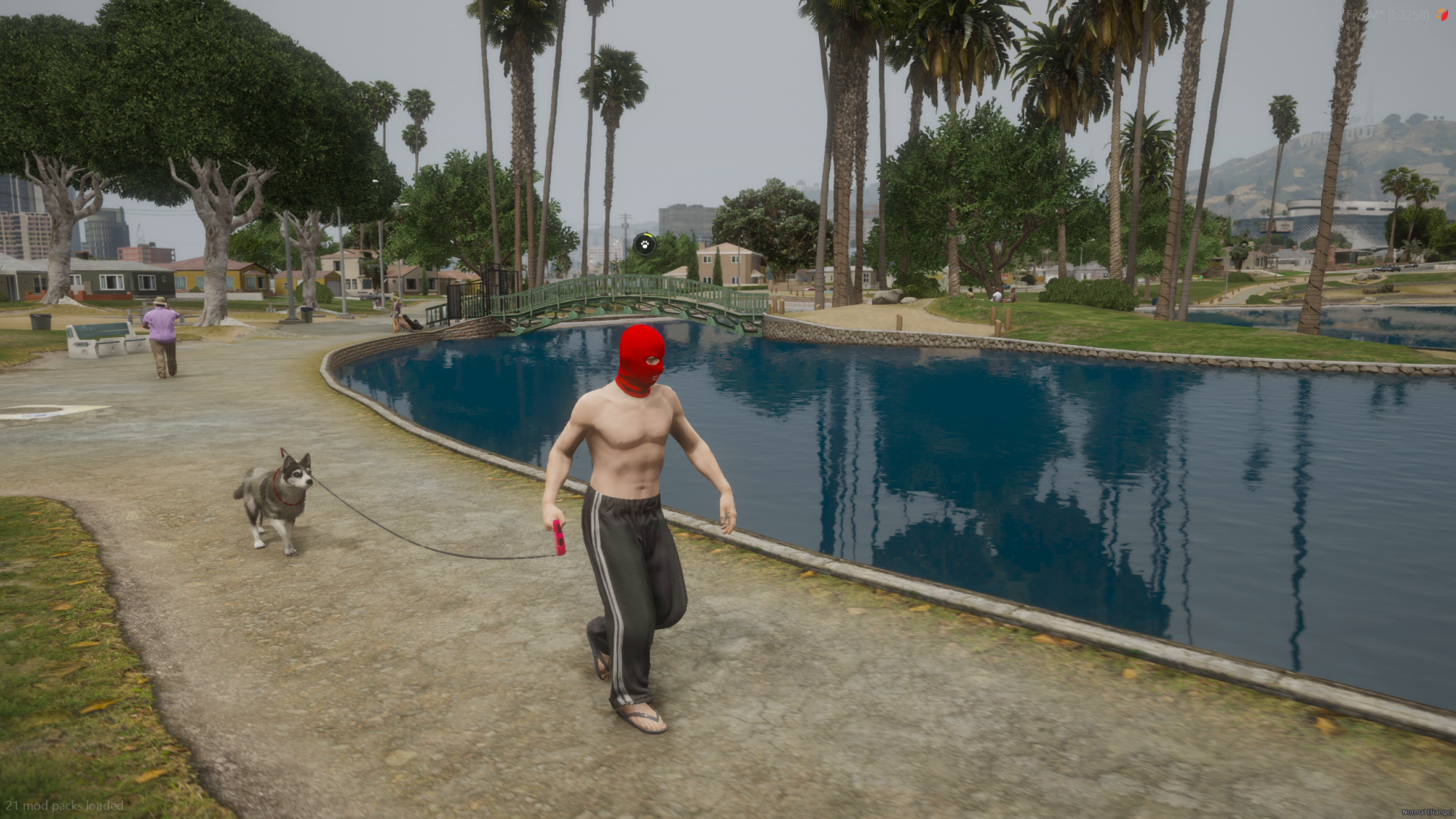 Dog Walker - Image undefined