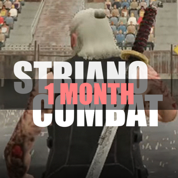 Striano Combat + All Weapons + All Spells (1 month)