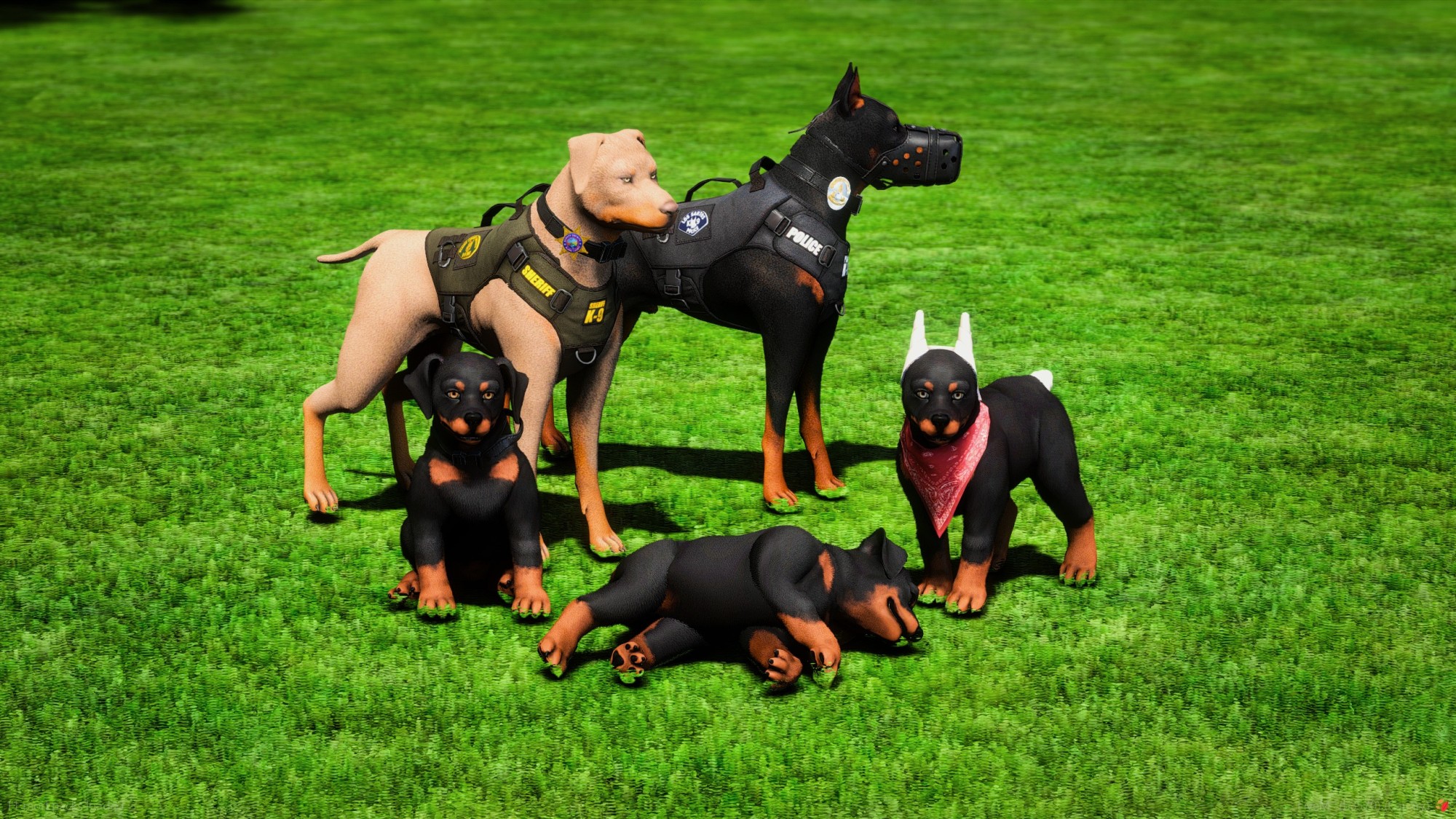 Doberman K9 + Puppy Bundle