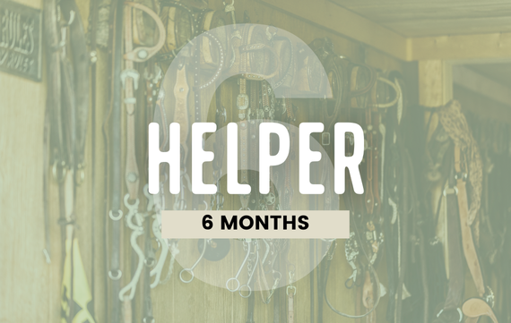 6 Month Helper Bundle