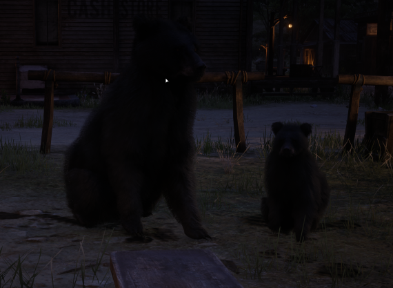 Schwarzbär