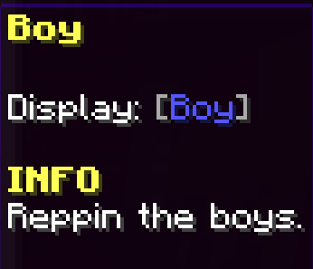 Boy Tag