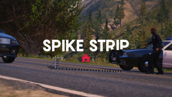 Police Spike Strips