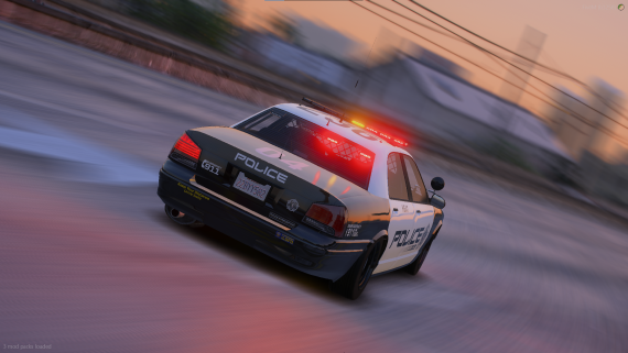 Police Vapid Stainer