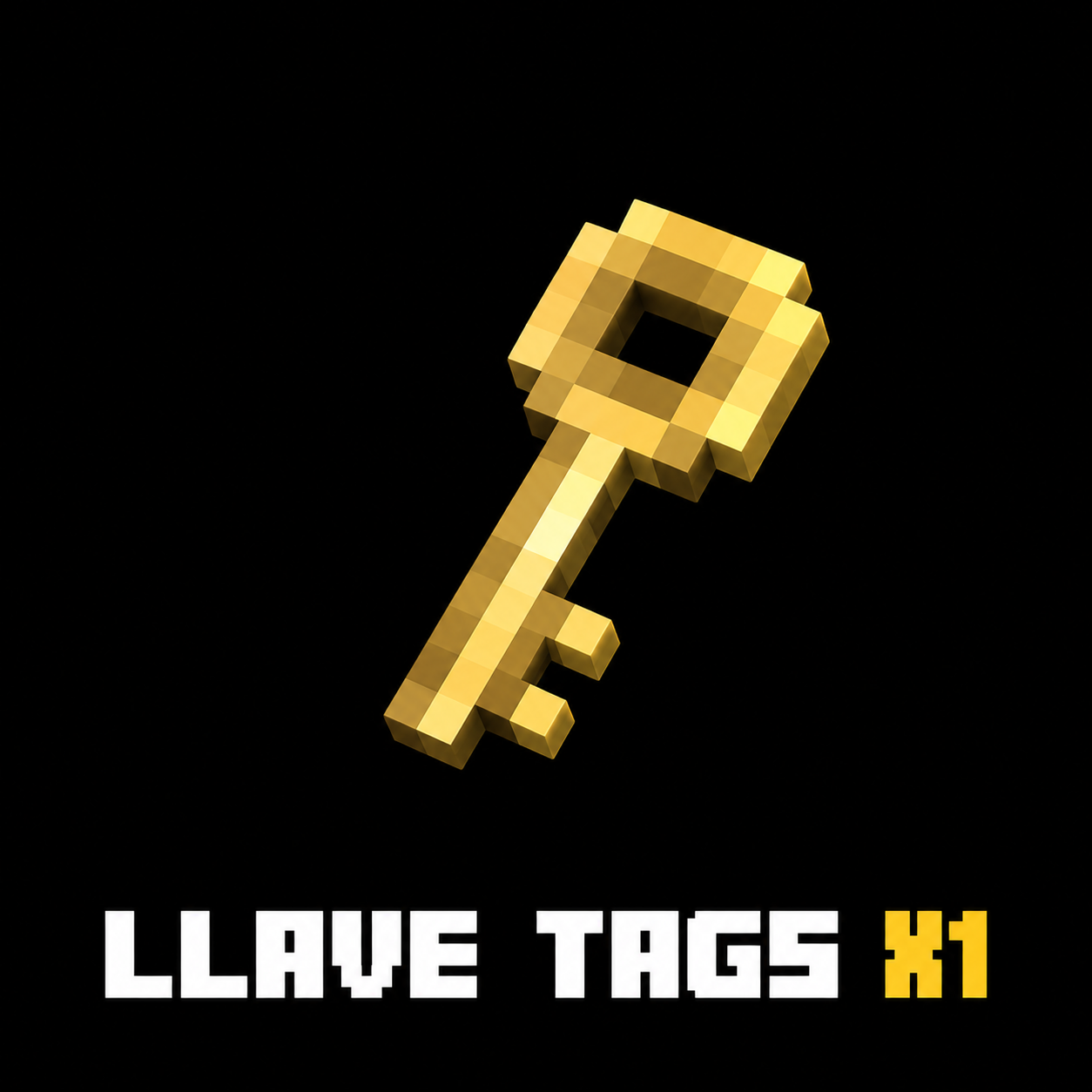 LLAVE TAGS X1