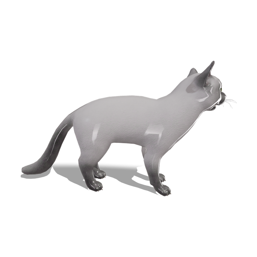 White Cat