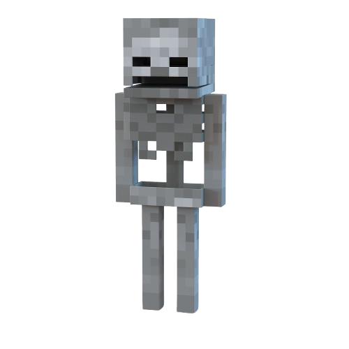 Skeleton