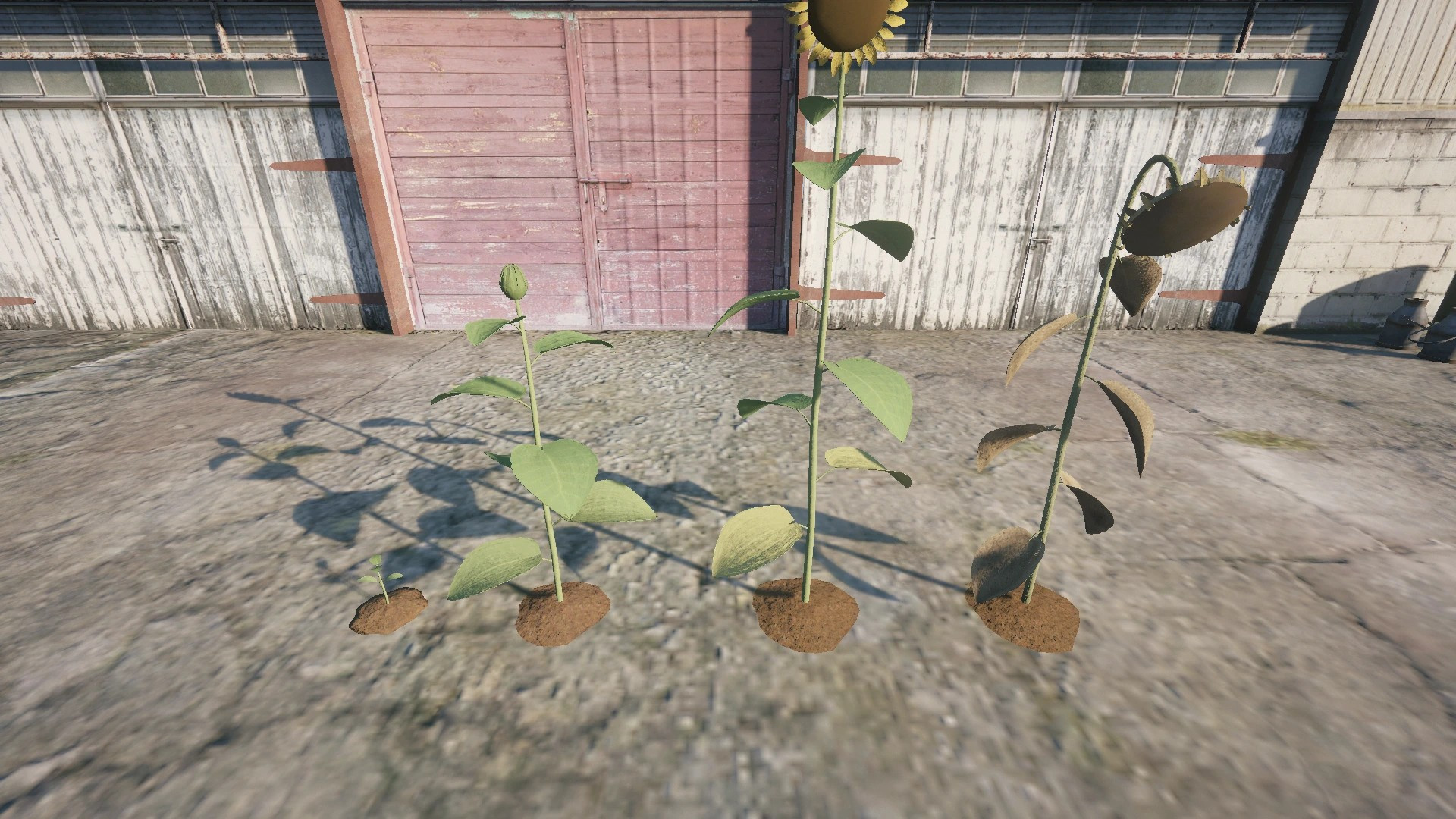 Farm Props: Field Crops - 2