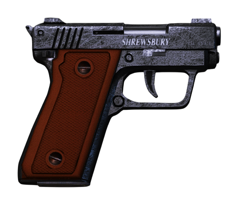 Snspistol + 100 Ammo