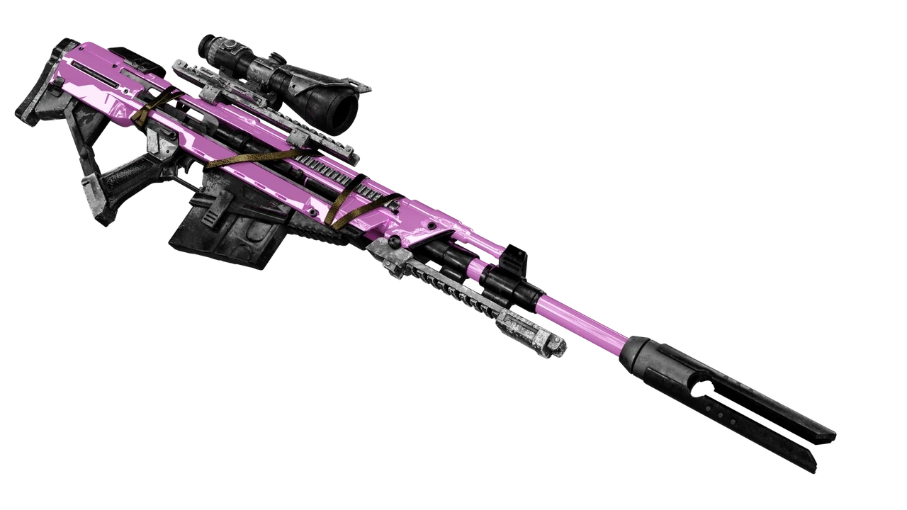 CAMO2.webp