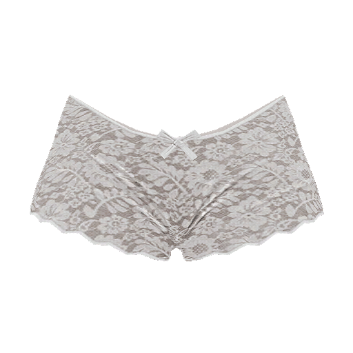 Lace Panties (F)