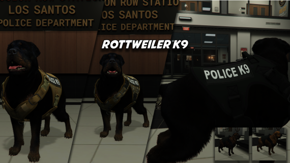 Rottweiler - K9