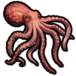 Octopus