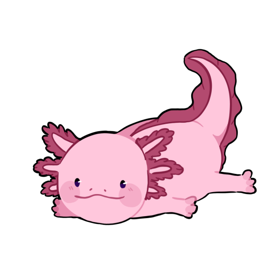 Allo Axolotl 
