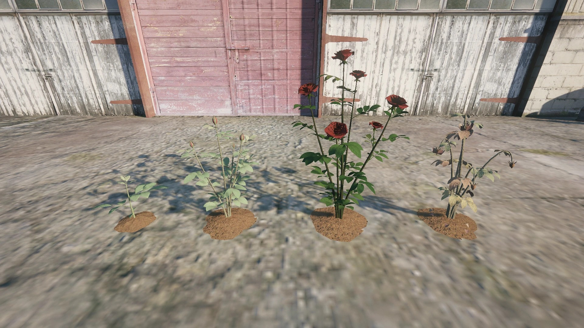 Farm Props: Greenhouse & Flowers - 2
