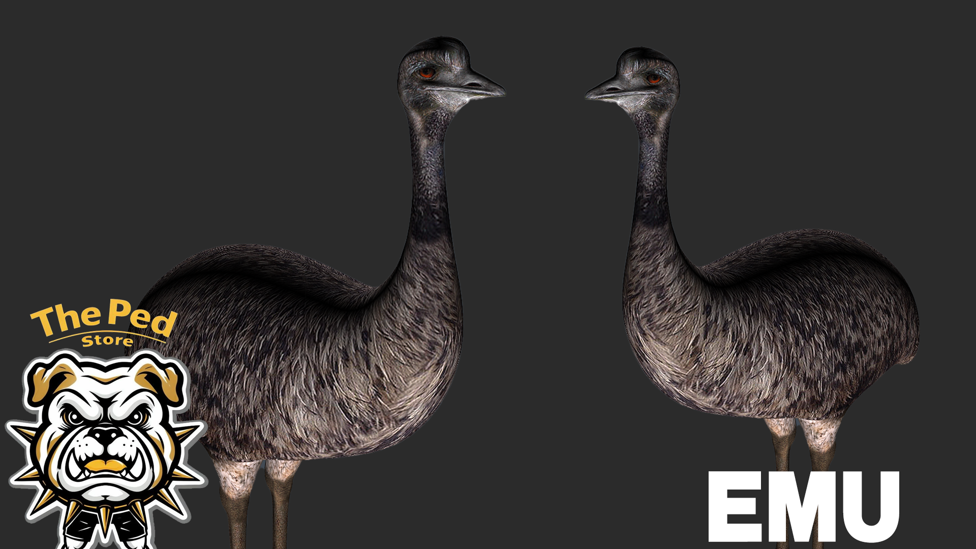 Emu