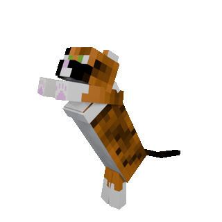 Cat Boxing Emote — cosmetic Emotes item on the NovaVoid Cat Civilization Minecraft server
