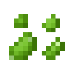 Lettuce Seed