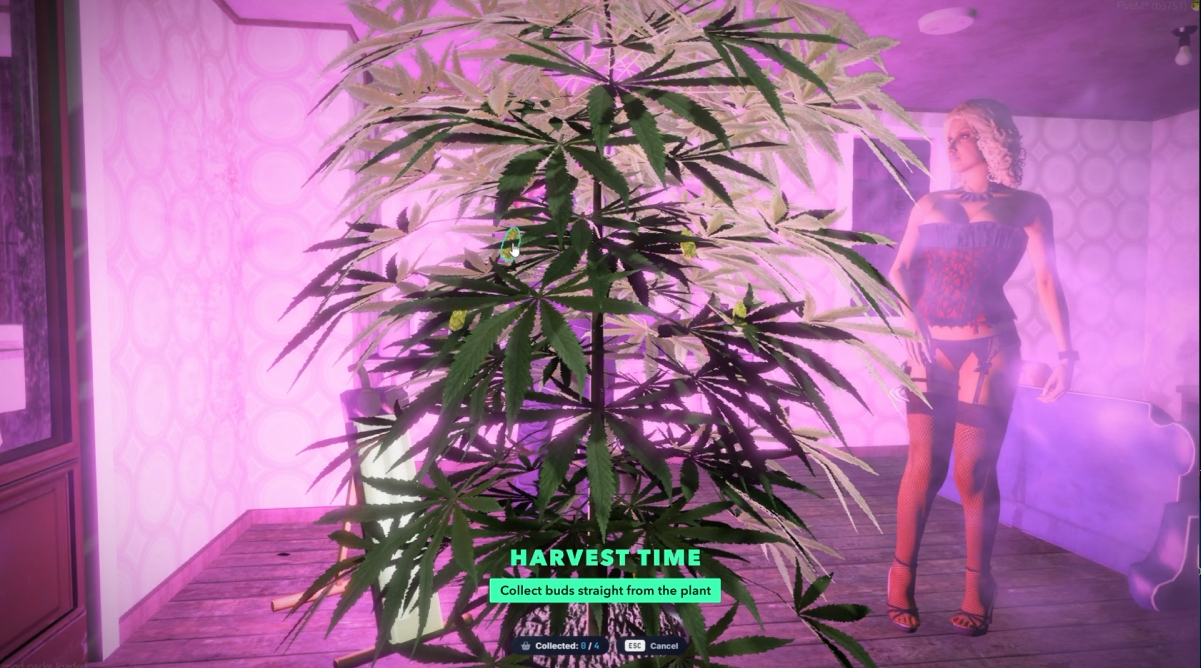Dep-Drug System