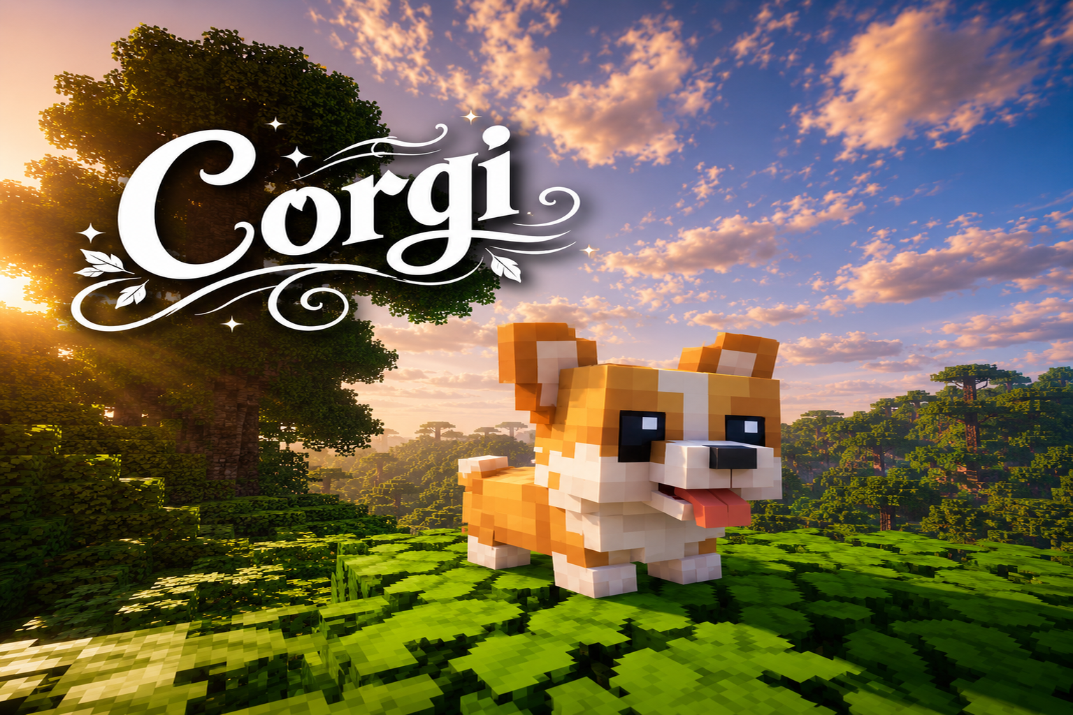 Corgi