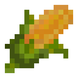 Corn Seed