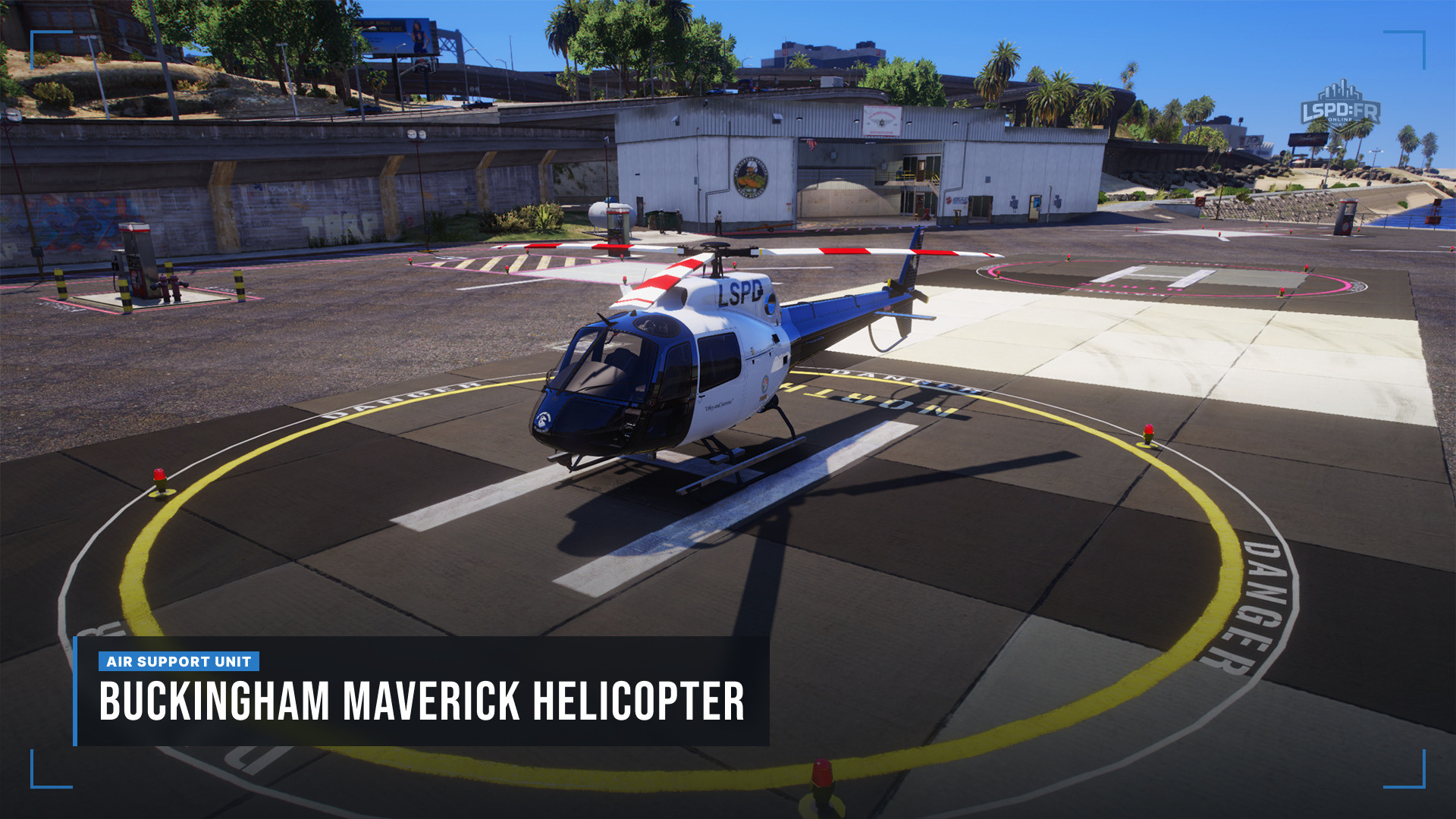Air Support Unit