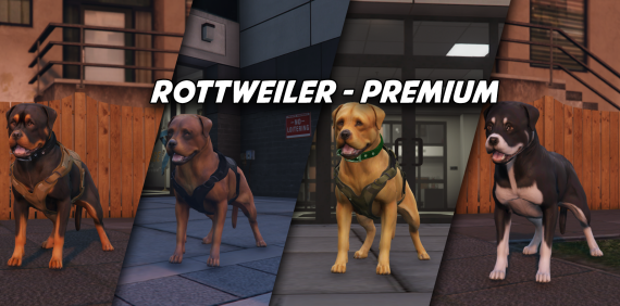 Rottweiler (premium)