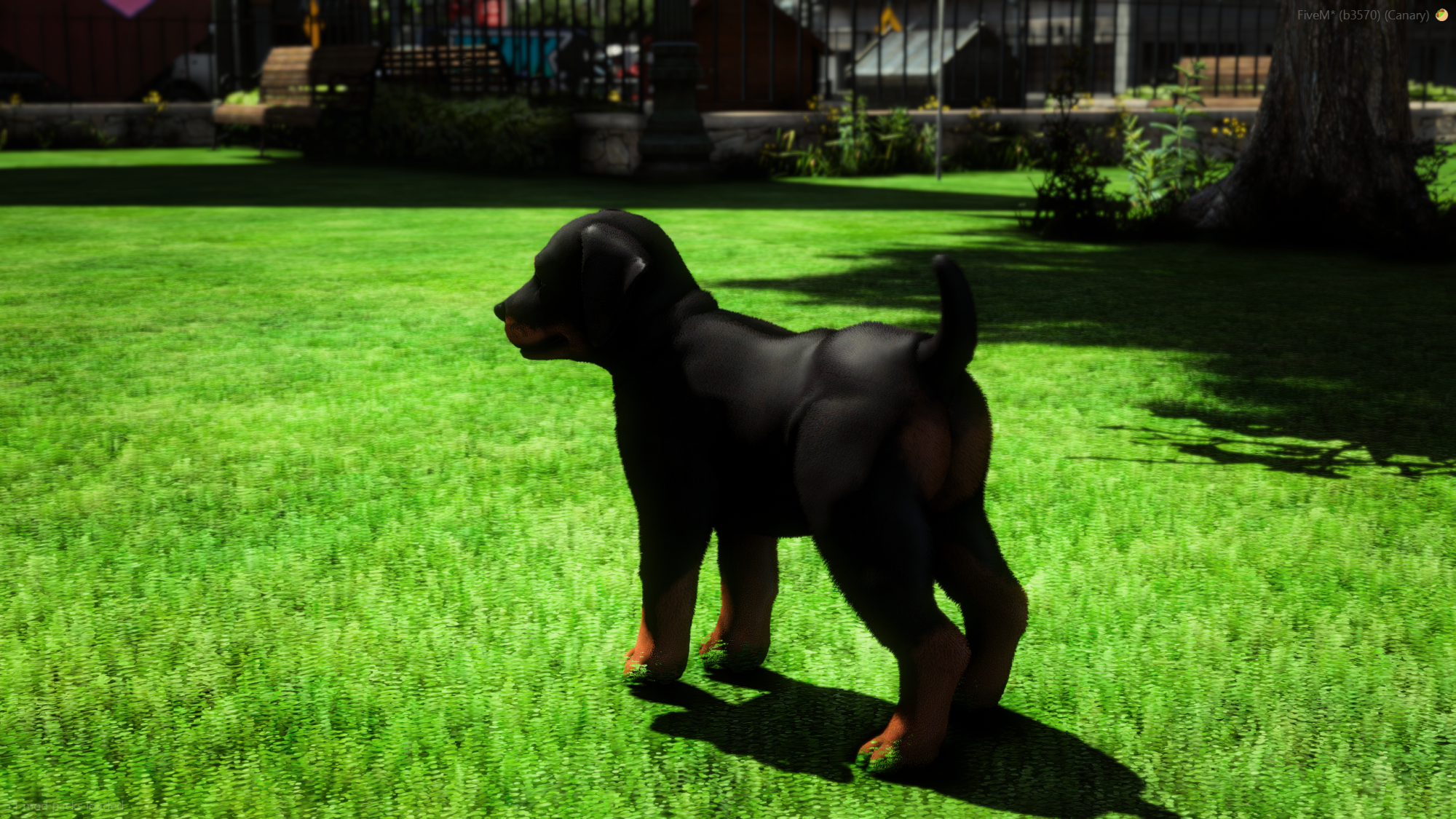 Doberman Police K9 Puppy