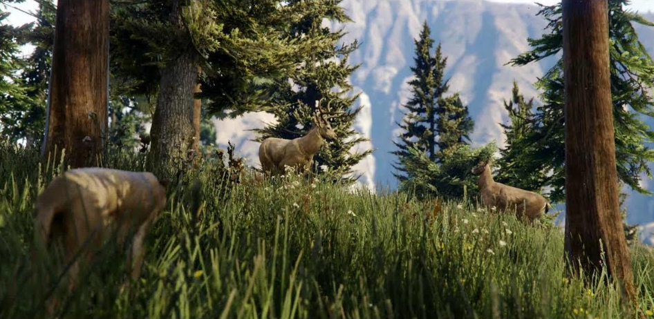 MD Hunting