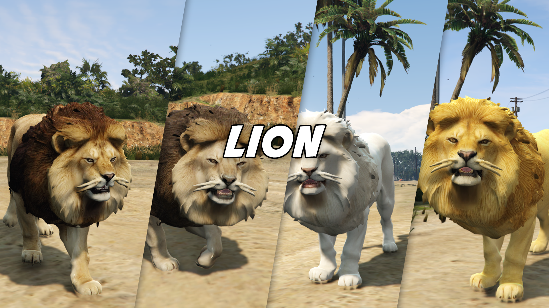 Lion (male)