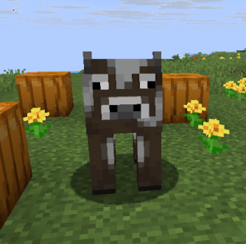 Farm Starter Set