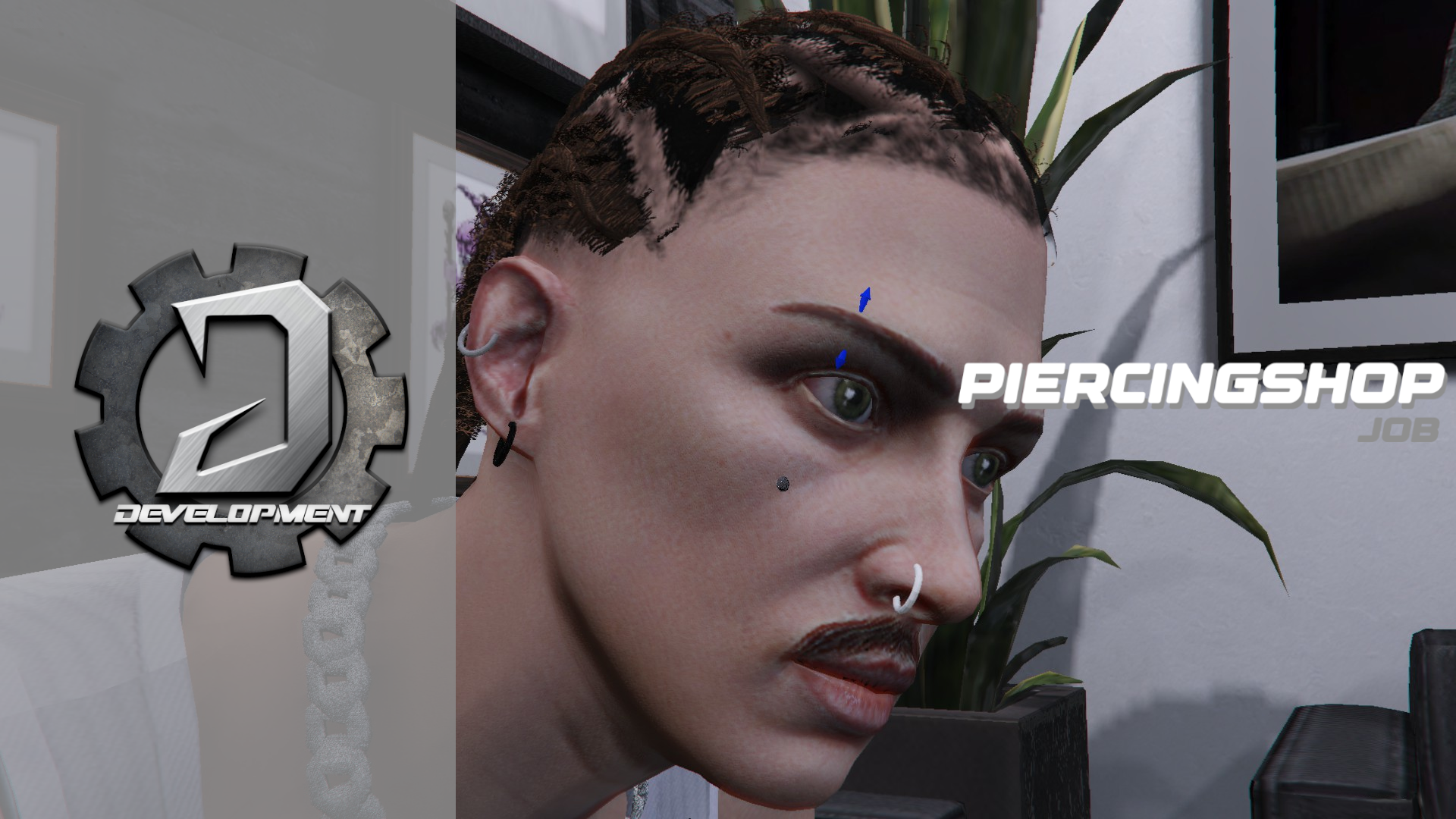 Piercing Shop Job