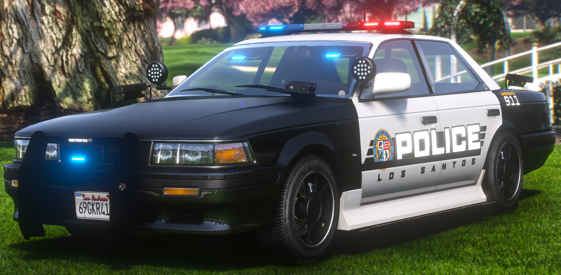 Police Annis Hardy