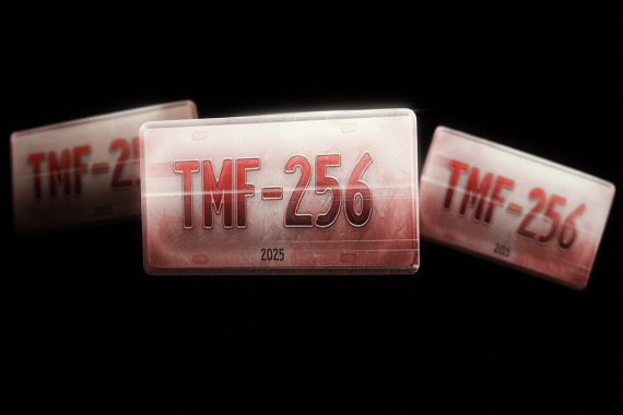 3x Custom Car Plate