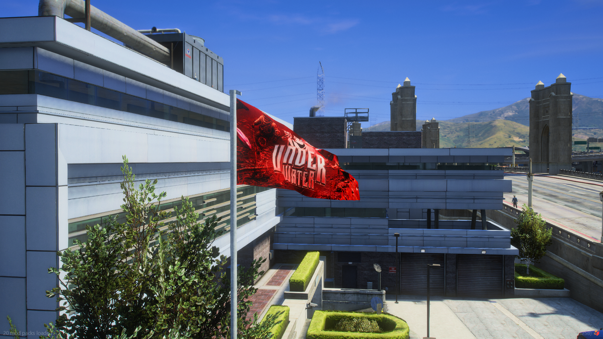Custom flags with server name or Logo