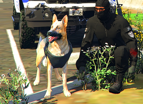 FutureIL RolePlay | כלב משטרתי