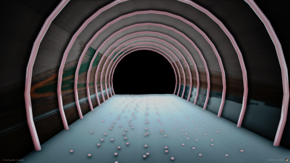 PINK TUNNEL