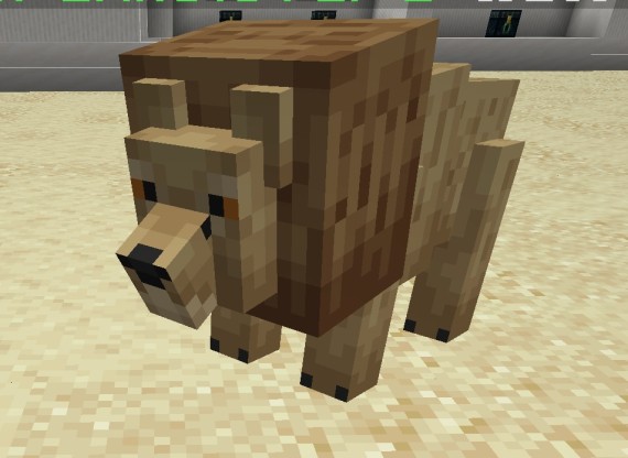 Lion Pet