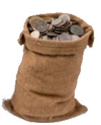 Gold Coin Sack