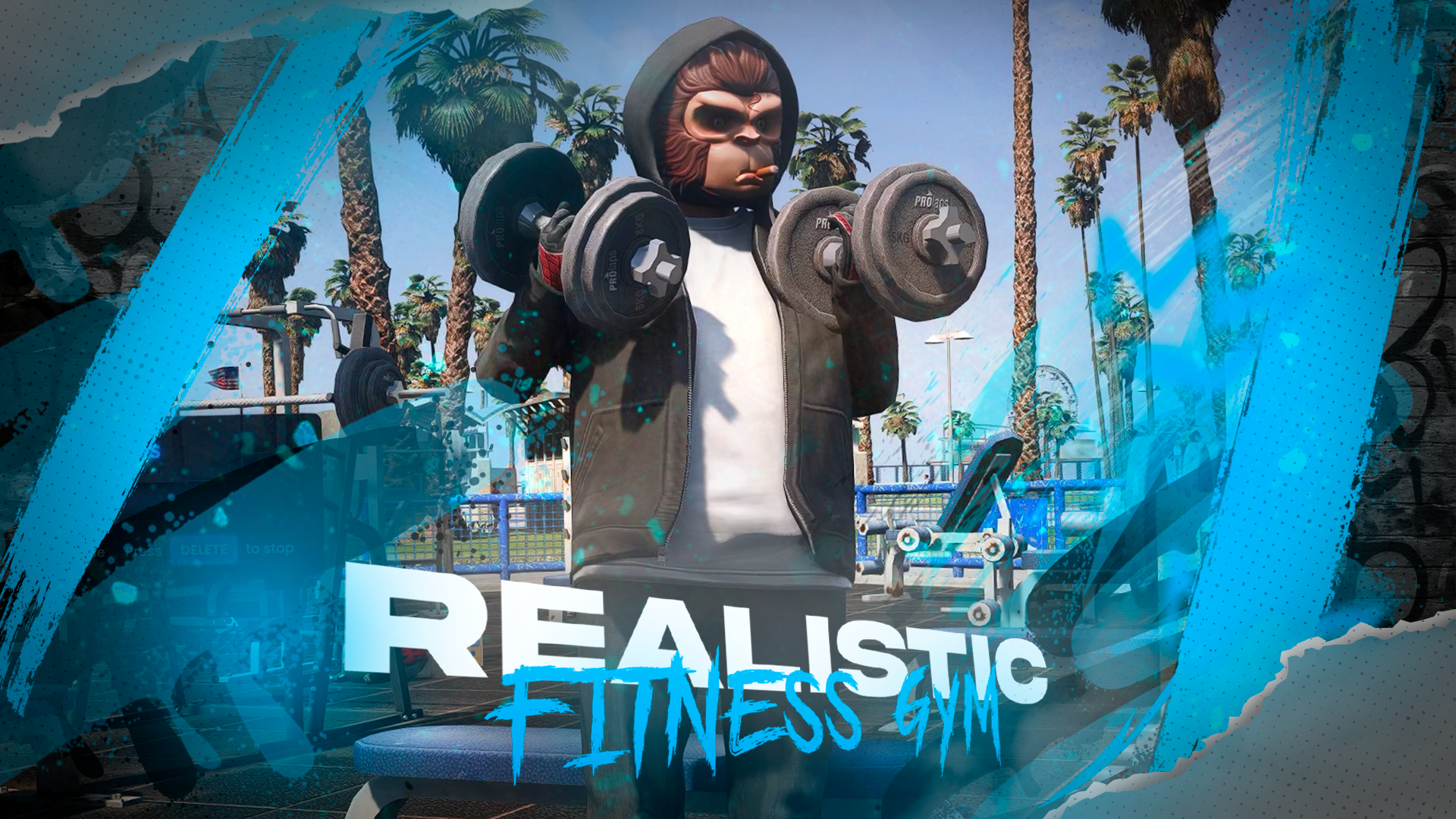 Realistic Gym