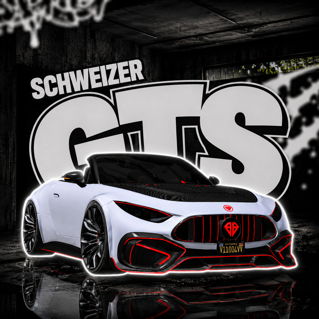 Schweizer GTS