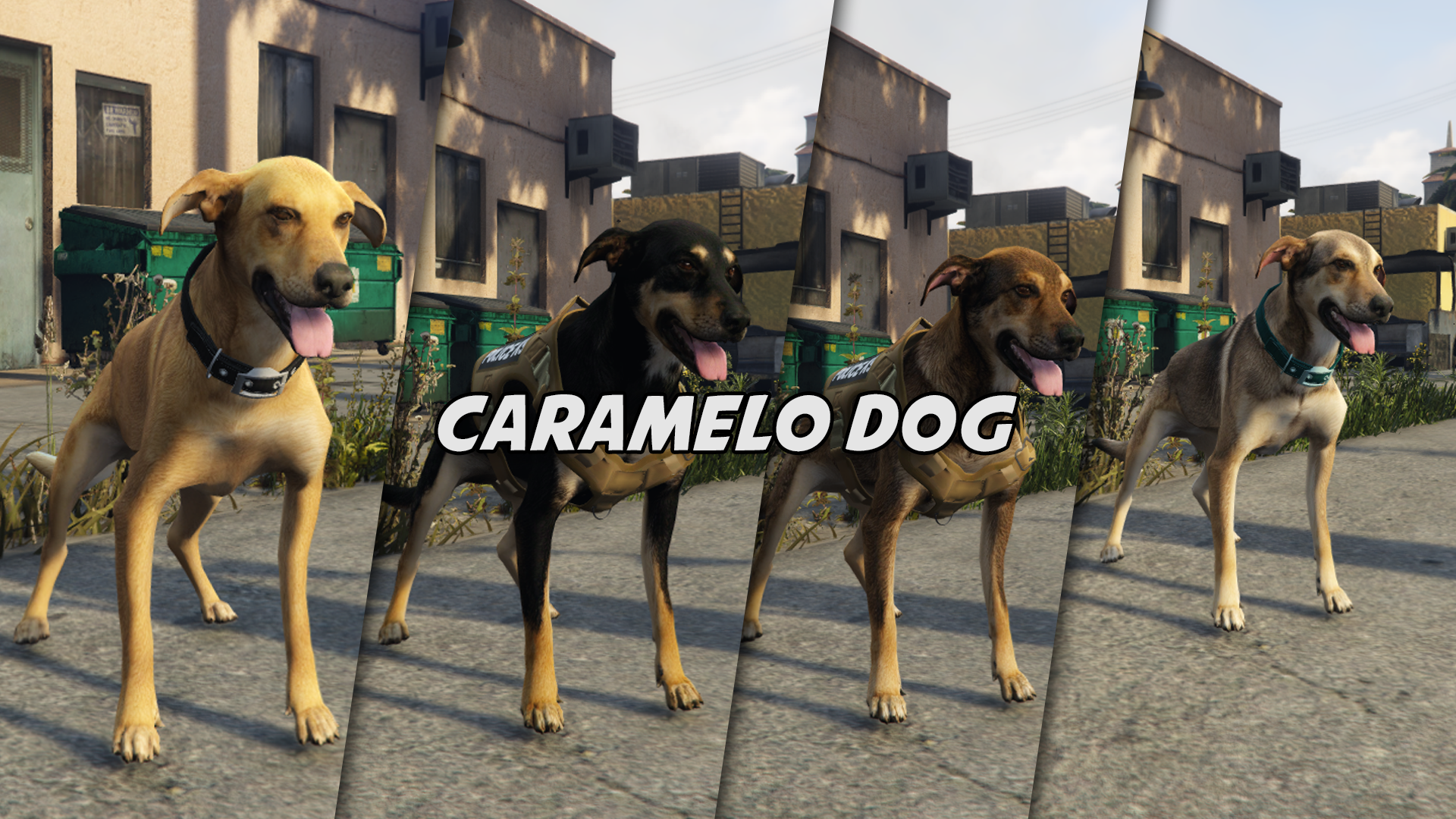Caramelo Dog