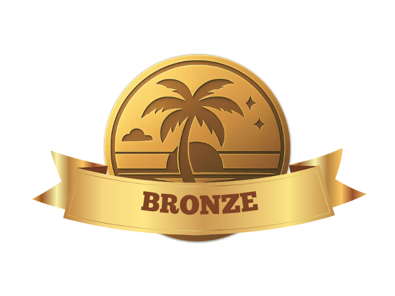 🥉 VIP Bronze