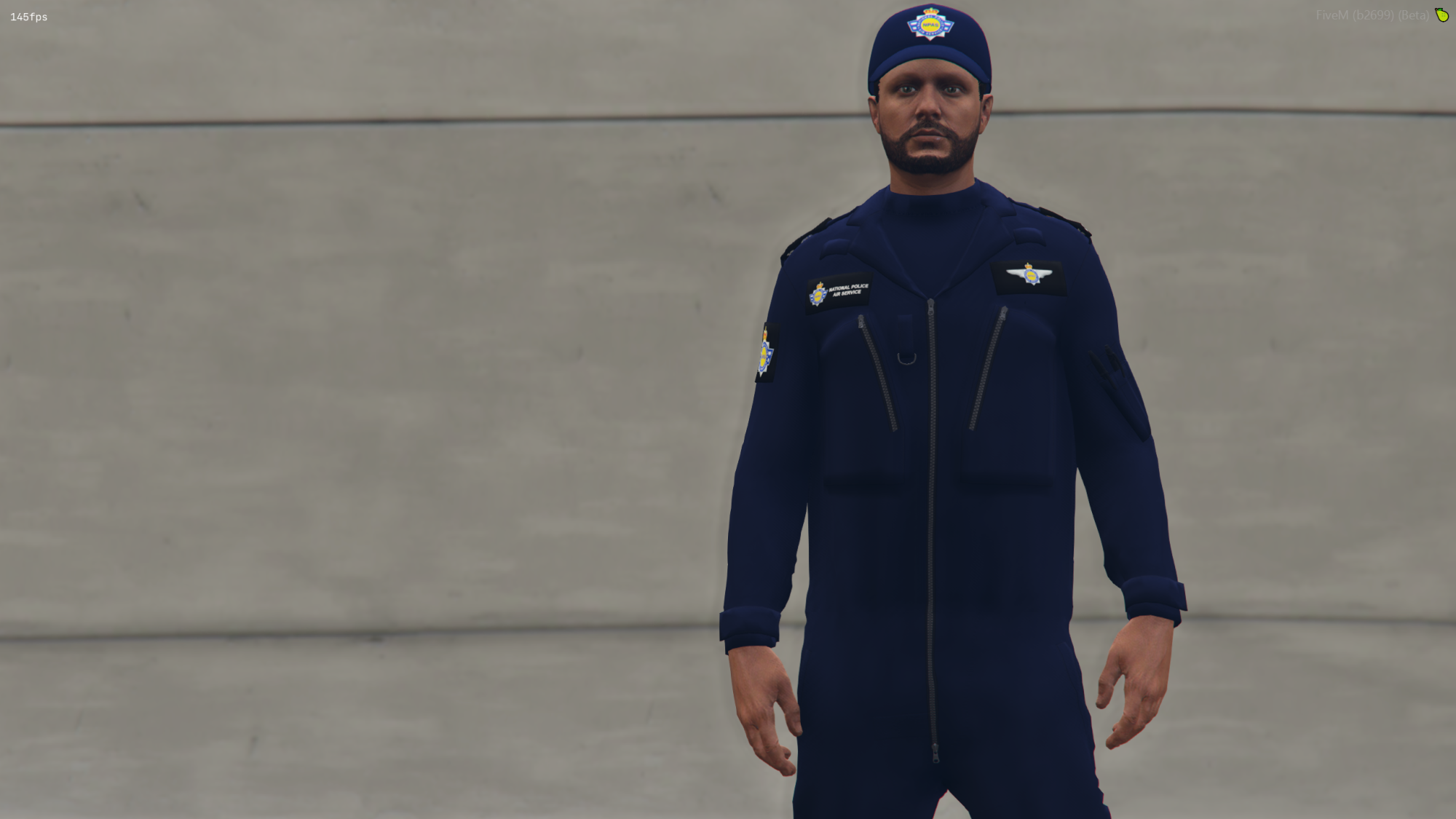 NATIONAL AIR POLICE Screenshot 2