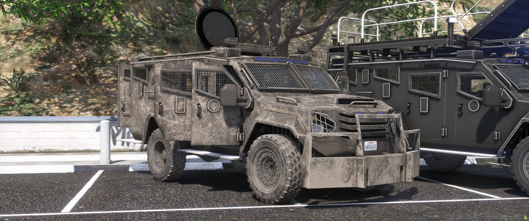 DSI Bearcat
